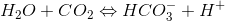 H_2O + CO_2 \Leftrightarrow HCO_3 ^- + H^+