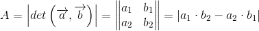A=\left | det\left ( \overrightarrow{a}, \overrightarrow{b}\right ) \right |=\begin{Vmatrix} a_1 &b_1 \\ a_2& b_2 \end{Vmatrix}=\left | a_1\cdot b_2-a_2\cdot b_1 \right |