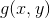 g(x,y)
