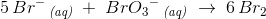 5\, Br^{-}\, _{\textit{(aq)}}\; +\; {BrO_3}^-\, _{\textit{(aq)}}\; \rightarrow \; 6\, Br_2