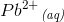 {{Pb}^{2+}}_\, {\textit{(aq)}}