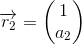 \overrightarrow{r_2}=\begin{pmatrix} 1\\a_2 \end{pmatrix}